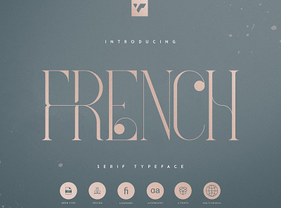 FRENCH TYPEFACE - 4 FONTS brand bundle creative design font lettering logo typeface vector