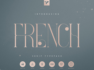 FRENCH TYPEFACE - 4 FONTS brand bundle creative design font lettering logo typeface vector