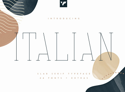 Italian Slab Serif Typeface - 24 fonts + graphics brand bundle creative design font illustration lettering logo