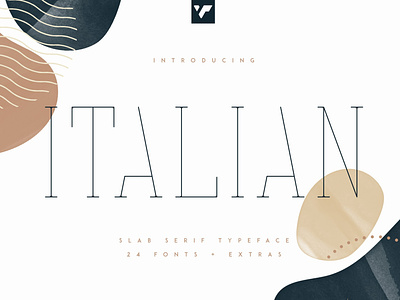 Italian Slab Serif Typeface - 24 fonts + graphics