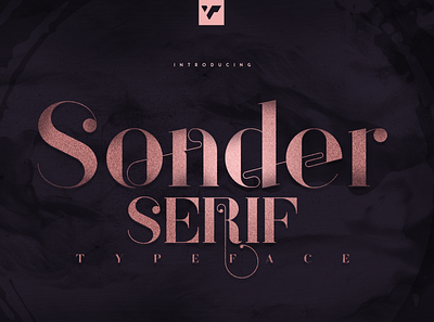 SONDER SERIF TYPEFACE - 5 WEIGHTS brand bundle creative design font illustration lettering logo