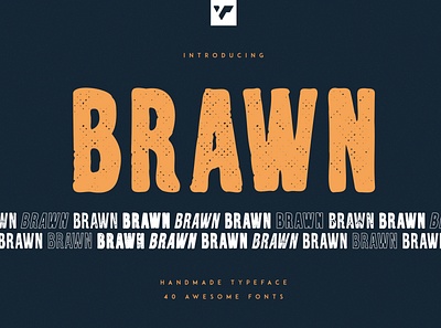 BRAWN HANDWRITTEN TYPEFACE, 40 FONTS brand bundle creative design font illustration lettering logo