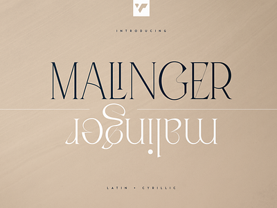 MALINGER - ELEGANT SERIF FONT brand branding bundle creative design font illustration lettering logo ui