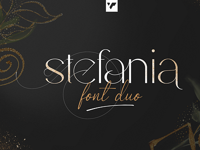 STEFANIA - FONT DUO + MORE AND MORE brand branding bundle creative design font illustration lettering logo ui