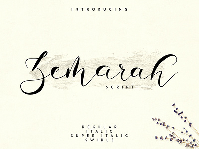 Zemarah script - 3 styles + Extras clean creative elegant font italic lettering logo regular script typeface typography
