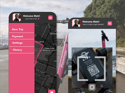 Flamingo Scooter App Concept 2