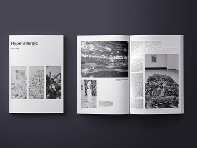 Hyperallergic Redesign design editorial design magazine magazine design typography