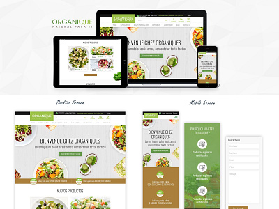 Modern Responsive Web Design food modern responsive