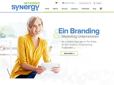 Synergy Networks Marketing Web Design