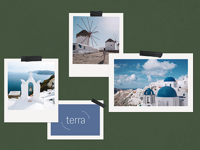 Terra Skincare . moodboard