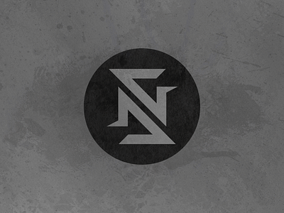 NS Logo branding creation design eraless logo logotype monogram signature