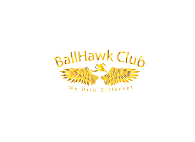 Ballhawk club logo ballhawk logo ballhawk logo club logo hawk club logo hawk logo