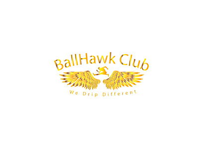 Ballhawk club logo