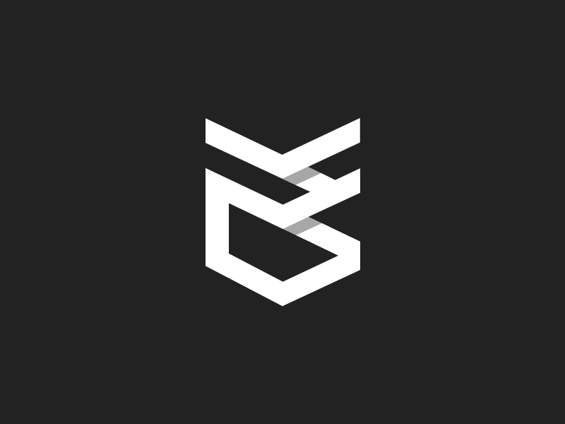 Windscribe Logo by Danny A on Dribbble