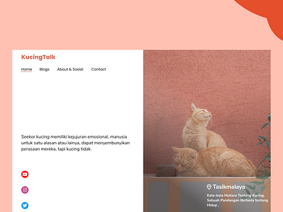 KucingTalk cat homepagedesign kucing orange ui