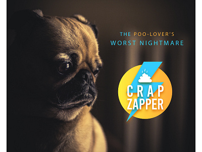 Crap Zapper Logo & Ad advertising branding graphic design humor
