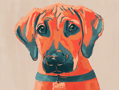 Nellie illustration procreate puppy rhodesian