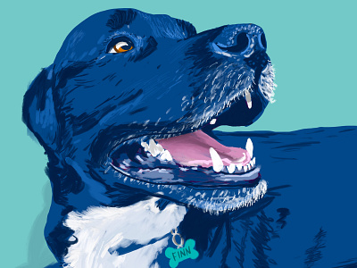 Finn dog illustration procreate