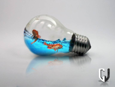 Fish Bulb design illustration logo