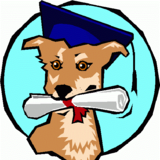 Malibu Dog Training