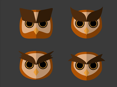owl flat design eye