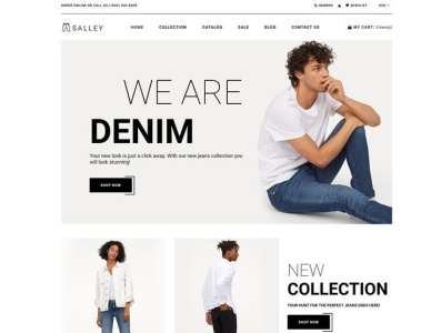 I will design a professional dropshipping Shopify store website dropshipping dropshipping website shopify shopify sales shopify store store design