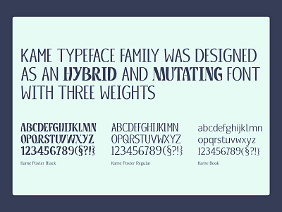 Kame Typeface