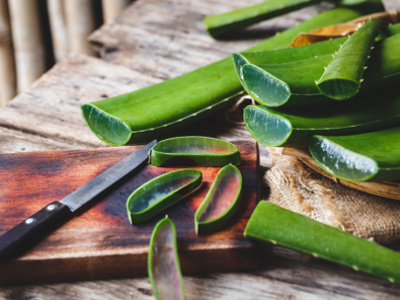 Lenaic Tchatchoua | Medicinal Benefits of Aloe Vera