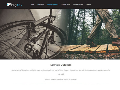 Digiflex web design website design