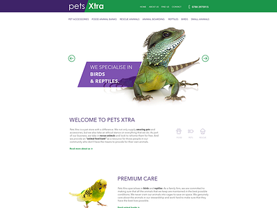 Pets Xtra birds design fish lizard pet website pets photoshop rabbits web design web designers website websites