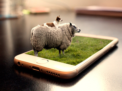 Sheep and Dog 3d 3d popout animal animals cellphone dog grass iphone 6 nature photoshop popout sheep