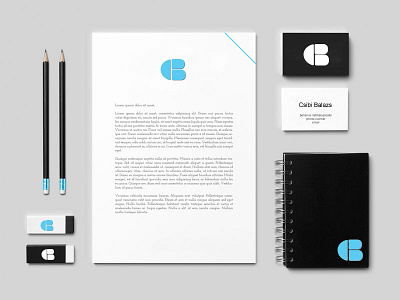 Branding behance blue branding business communication concept design graphic design idea logo resume visual