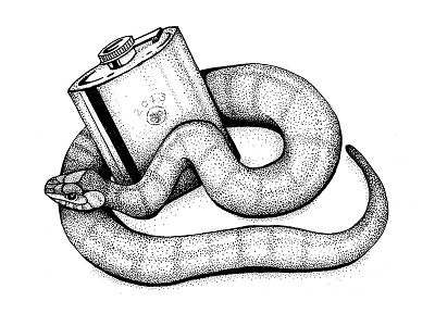 Year of the Snake Illustration drawing illustration