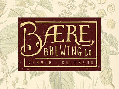 Bære Logo brewery handt type lettering logo