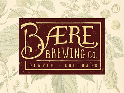 Bære Logo