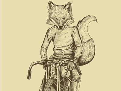 Fox Illustration