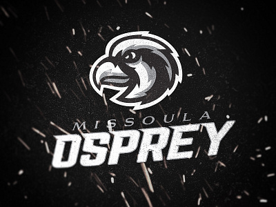 Missoula Osprey Re-brand branding design illustration logo mascotlogo sports logo vector