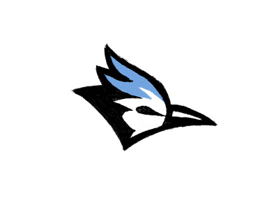 Blue Jay Mascot Sketch