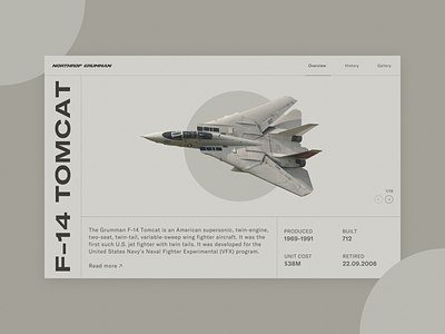 F-14 Tomcat - Product Page aviation design f 14 military product product page tom cruise tomcat top gun ui ux