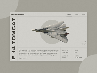 F-14 Tomcat - Product Page aviation design f 14 military product product page tom cruise tomcat top gun ui ux