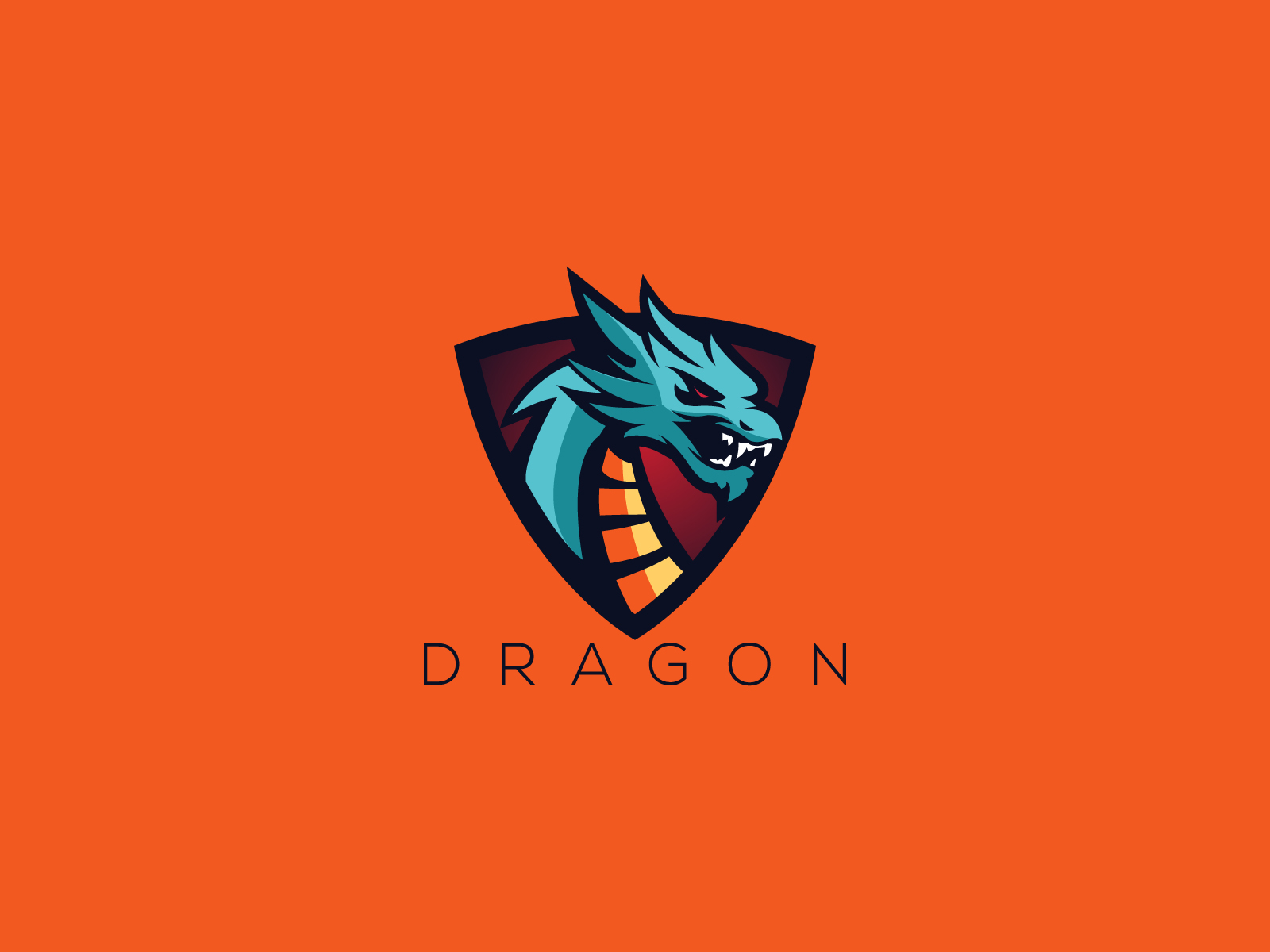 dragon logo by Naveed on Dribbble