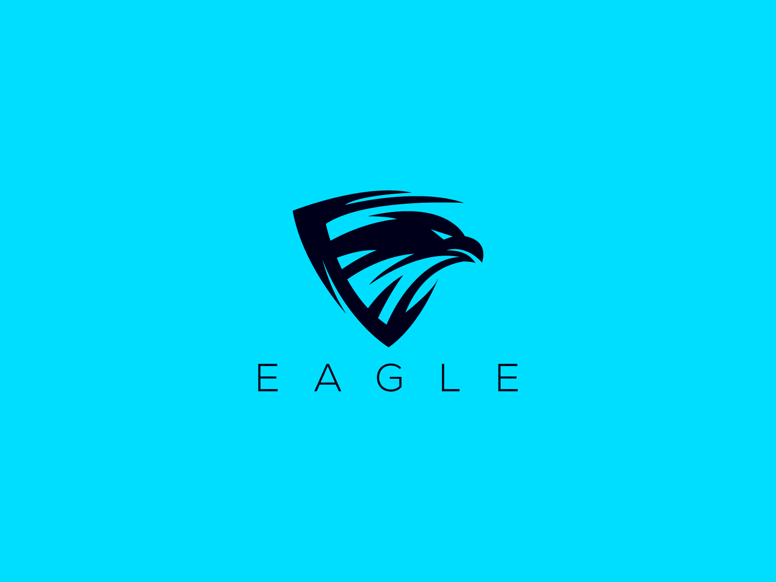 eagle logo by Ben Naveed 🇺🇸 on Dribbble