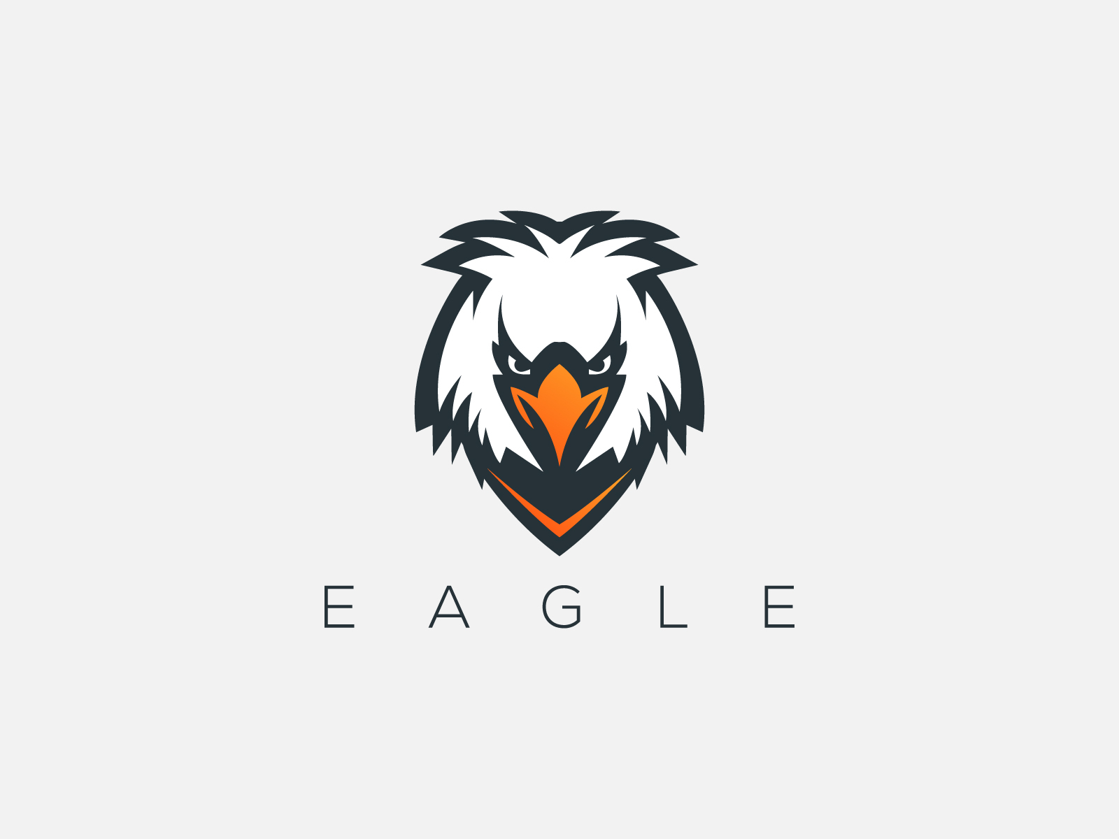 Eagle Logo by Ben Naveed🇺🇸 on Dribbble