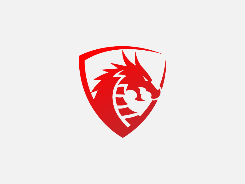 Dragon Logo by Ben Naveed🇺🇸 on Dribbble