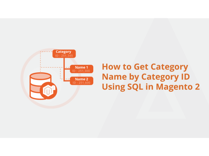 how-to-get-category-id-by-category-name-in-wordpress-codexcoach