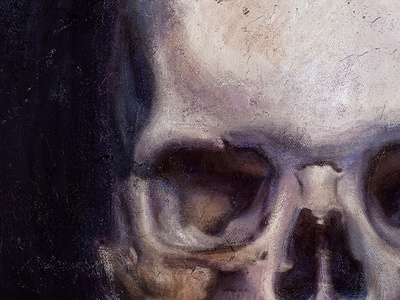 Skull Study digital art illustration painting procreate