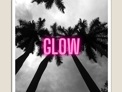 Pink Glow black black and white blackandwhite glow glowing glowy palm trees pink sky white