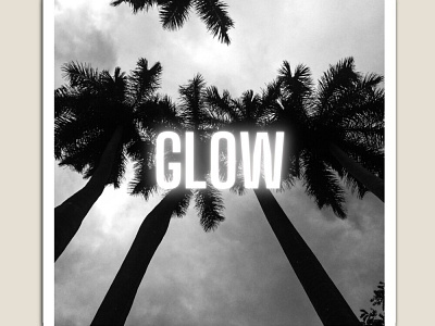 white glow glow glow in the dark glowing glowy palm trees palmtree sky white