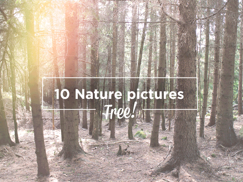 10 Free Nature Pictures