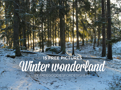 15 FREE IMAGES FROM A WINTER WONDERLAND